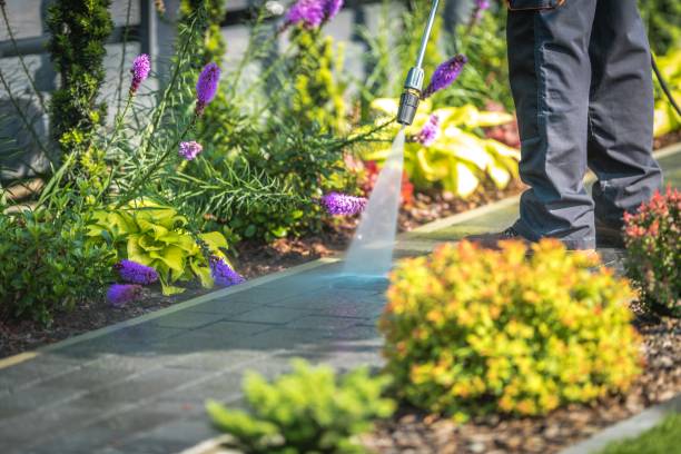 Best Post-Construction Pressure Washing  in Kenneth City, FL